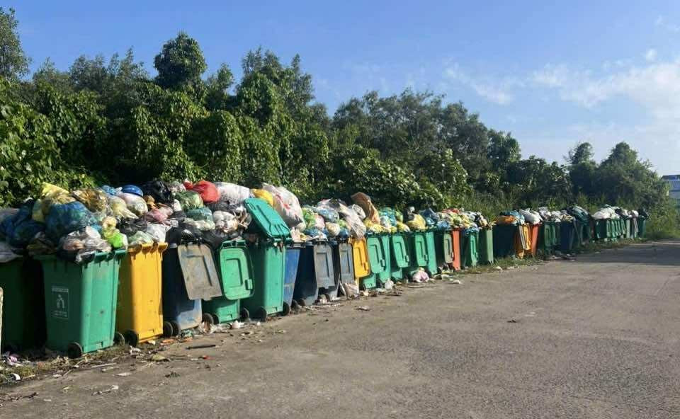 Đê biển Tây Cà Mau bị chiếm dụng chứa rác thải sinh hoạt. 514857583-24148222661478215-6582637390353331833-n.jpg