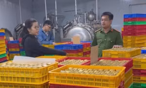 Triệt phá đường dây sản xuất nước yến, yến sào giả quy mô lớn 