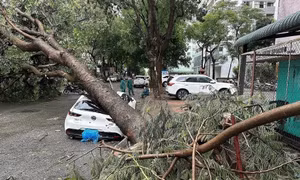 Hà Nội khuyến cáo người dân hạn chế ra đường khi bão số 9 Ragasa tiến sát