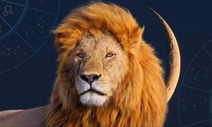 Chiron nghịch hành: Bọ Cạp chấp nhận mất mát, Song Tử khao khát sự thấu hiểu