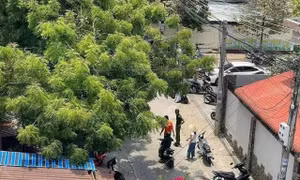 Toàn cảnh vụ nam sinh lớp 9 ở Lâm Đồng tử vong sau khi xô xát trước cổng trường