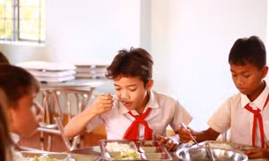 Hội Liên hiệp Thanh niên Việt Nam thông tin liên quan đến dự án "Nuôi em"