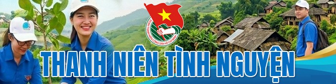thanh nien mobile