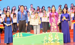 Tuyên dương Tổng phụ trách Đội tiêu biểu và Chỉ huy Đội giỏi tỉnh Ninh Bình