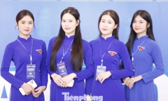 Xây dựng lực lượng trẻ hỗ trợ đắc lực bảo vệ nền tảng tư tưởng của Đảng