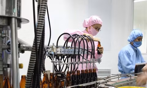 Kinh doanh dược liệu: Hướng đi đầy tiềm năng