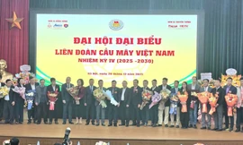 Cầu mây Việt Nam 'tự tin phát triển, khẳng định vị thế'