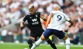 Nhận định Tottenham vs Fulham, 03h00 ngày 30/11: Chủ kém gặp khách yếu 