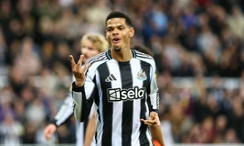 Nhận định Newcastle vs Tottenham, 03h00 ngày 30/10: Nỗi sợ Chích chòe
