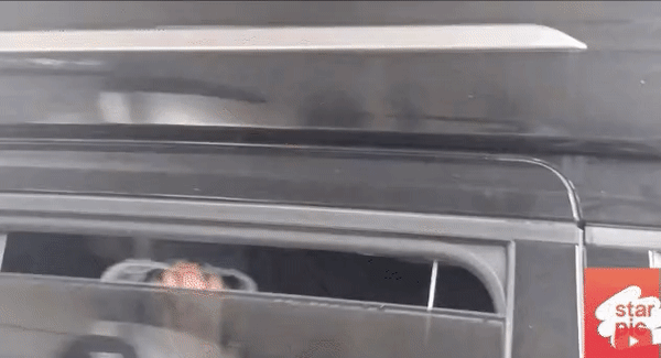 Cảnh Lisa thoát khỏi vòng vây, tạm biệt fan ra về. &quot;Tình trạng quá nguy hiểm, không hiểu sao bảo vệ có thể để cô ấy bị dồn đến mức như vậy&quot;, &quot;Đúng là chỉ Lisa và BlackPink mới có thể khiến người ta phát cuồng như vậy&quot;... là một số bình luận của người hâm mộ Hàn Quốc.