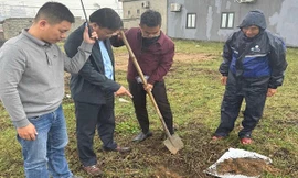 Cơ quan chức năng vào cuộc làm rõ hiện tượng giun chết bất thường ở Quảng Trị 