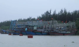 Tàu thuyền của ngư dân Thanh Hóa