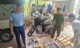 Thanh Hóa phát hiện cơ sở kinh doanh thực phẩm là côn trùng bốc mùi