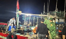 Cứu sống 7 ngư dân sau vụ chìm tàu trên biển Hòn La 