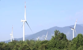 Hướng xử lý Dự án điện gió Hướng Linh sau chỉ đạo của Chủ tịch tỉnh Quảng Trị