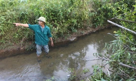 Quảng Trị: Dân tố trại lợn lợi dụng mưa bão xả thải đầu nguồn nước sinh hoạt 