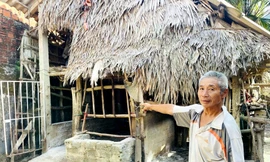 Dịch tả lợn châu Phi chưa ngừng, lại thêm dịch bệnh mới trên gia súc ở Quảng Trị 