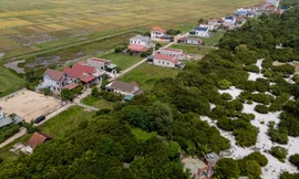 Tận thấy ‘báu vật’ của làng Thanh Bình 