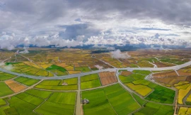 Đề xuất dự án điện gió gần 320 triệu USD ở vùng đầm phá Quảng Trị 
