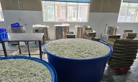 Phát hiện hơn 13 tấn chân gà ngâm hóa chất trong kho đông lạnh ở Thanh Hóa