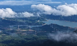 Quảng Trị thu ngân sách hơn 13.300 tỉ đồng