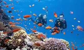 Hai thợ lặn ở Quảng Trị gặp sự cố dẫn đến tử vong