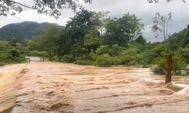 Quảng Trị: 7 người chết và mất tích, hàng nghìn hộ dân vẫn ngập trong nước 