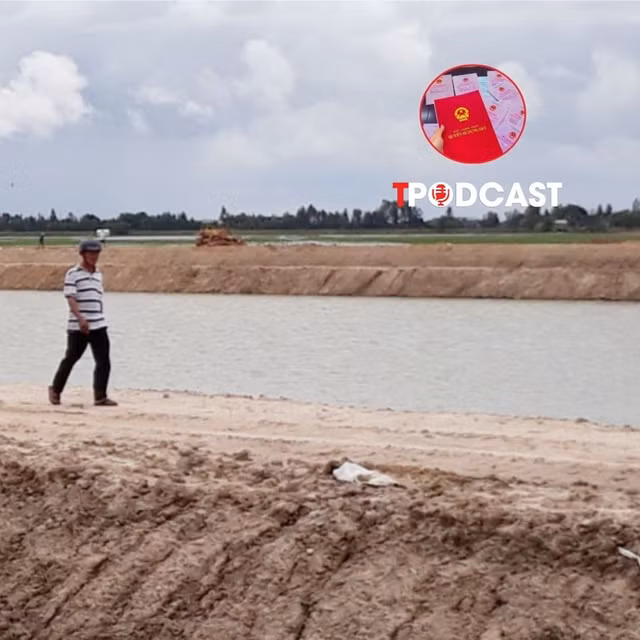 Xác định loại đất theo Giấy chứng nhận, không theo hiện trạng