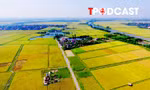 Chuyển đất nông nghiệp sang đất ở, thu bao nhiêu tiền là hợp lý?
