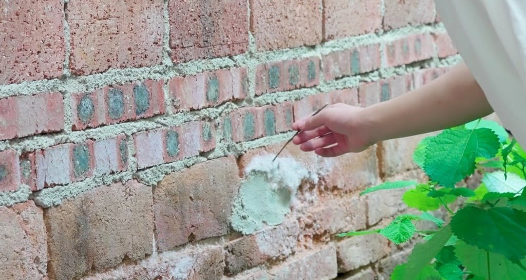 Những nguyên liệu hóa học đều được Trương thu thập từ tự nhiên, như nitrate trong chuồng lợn. Ảnh: Handout t3.jpg