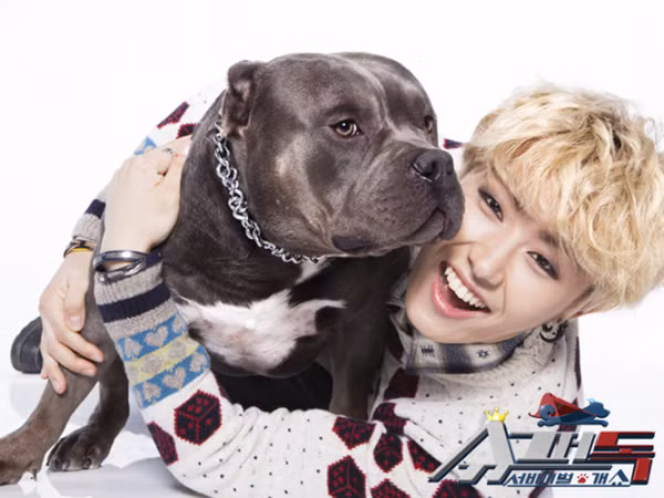 Đăng quá nhiều hình chó cưng lên Instagram, U-Kwon (Block B) bị cho là không quan tâm đến fan
