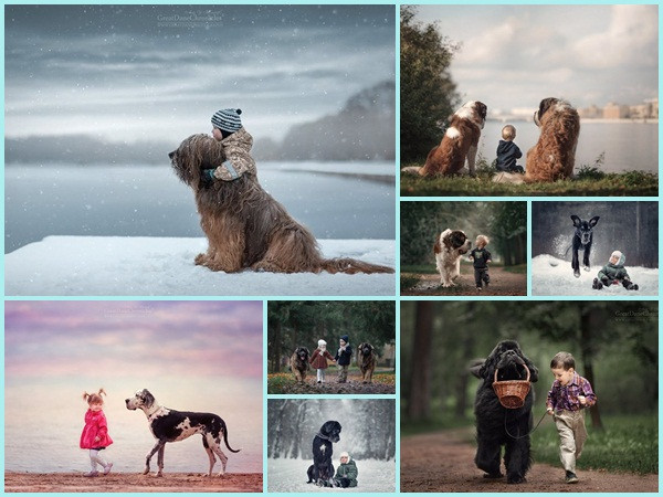 Những bức ảnh “dễ thương” về em bé và thú cưng to lớn của chúng