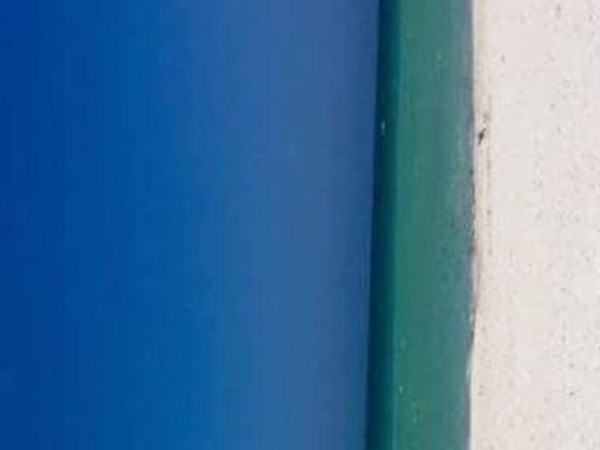 Đây là một bãi biển hay một cánh cửa? Cộng đồng mạng lại tranh cãi không ngừng!