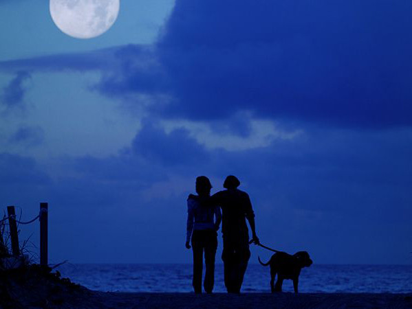 Dưới góc độ khoa học thói quen nào tốt nhất nên thực hiện vào ban đêm?