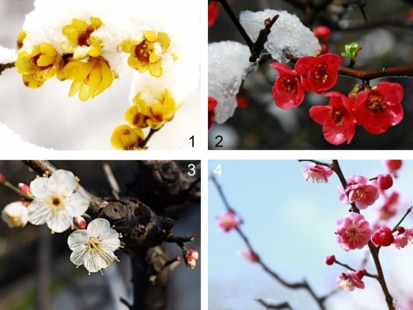 Trắc nghiệm vui: Bạn là người thiên về lý trí hay cảm tính hơn?