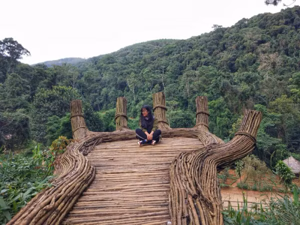 Giới trẻ thích thú "check-in" với "bàn tay khổng lồ ghép từ dây rừng" ở Lâm Đồng