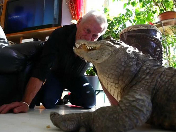 Người đàn ông nuôi hơn 400 động vật bò sát trong nhà... làm thú cưng