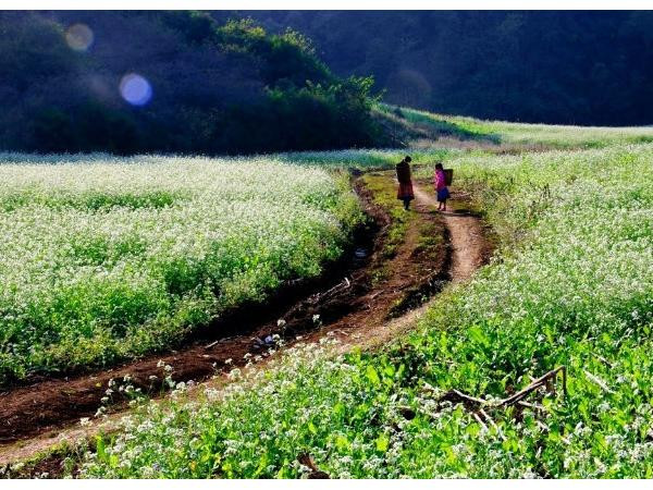 Những mốc thời gian hạnh phúc: Ngày giáp Tết trên cao nguyên năm ấy