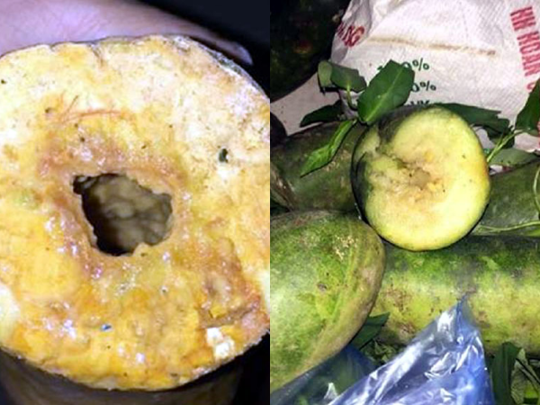 Thực hư rau, củ, quả… chứa dòi dùng chế biến thức ăn cho học sinh