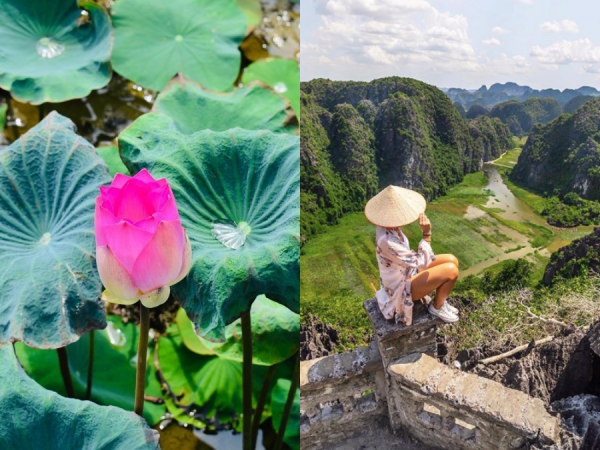 Sen nở rộ, lúa trải vàng ở địa điểm check-in hot nhất Ninh Bình, xách ba lô lên và đi thôi!