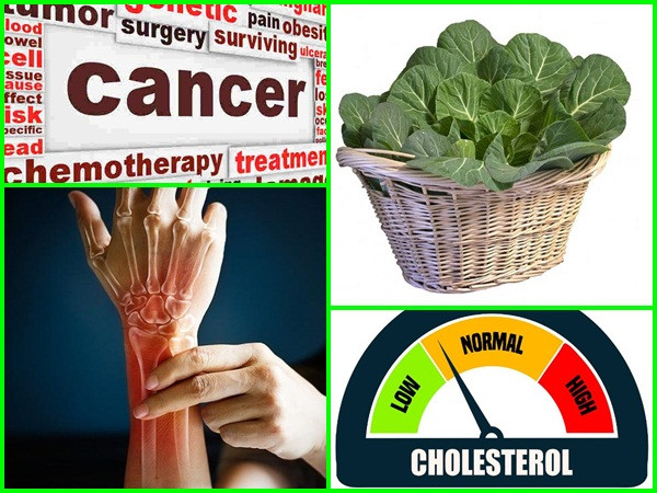 Loại rau có thể cứu sống bạn mà lại dễ dàng tìm mua