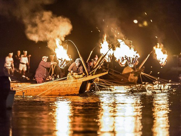 Đến Nhật Bản, học cách bắt cá đặc biệt, tồn tại suốt 1.300 năm 