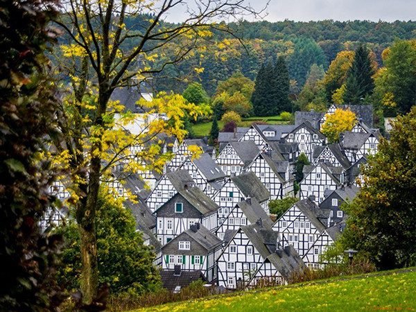 Đến thị trấn “trăm căn nhà giống nhau như một”, hoa mắt nhìn mãi không ra