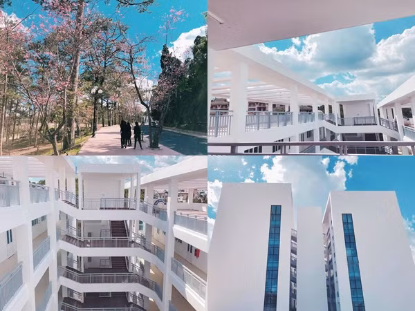 Đến Đà Lạt, đừng quên ghé qua ngôi trường Đại học đẹp xinh như phim trường điện ảnh