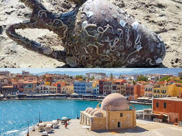 Tưởng là “đầu người”, du khách vô tình tìm được bình cổ quý hiếm