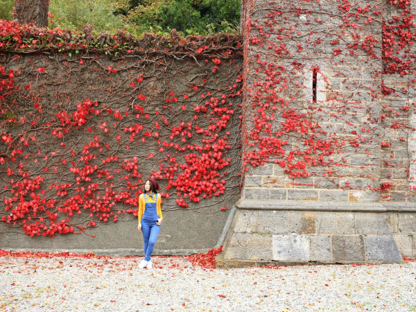 Xứ Wales trong mắt tôi: Hành trang giúp bạn tự tin “đi làm thêm ở một nơi xa”