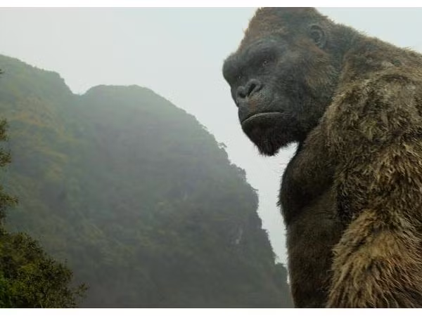 Xem "Kong: Skull Island" để thêm một lần tự hào về đất nước mình!