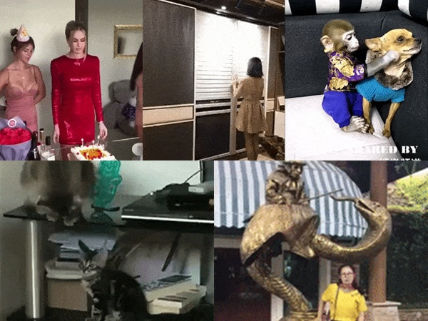 “Cười thả ga” với loạt ảnh động về những khoảnh khắc hài hước