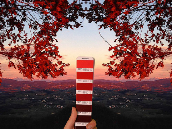Bạn sẽ ngất ngây trước cách pha màu tự nhiên đẹp đúng chuẩn Pantone của tạo hóa