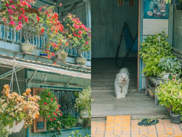 Ngôi nhà giản dị nhưng khiến giới trẻ "xiêu lòng" vì khuôn viên xinh xắn